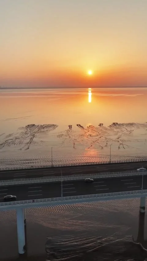 Vertical Aerial View of Golden Tide Tree Patterns in China Stock Footage 334723960
