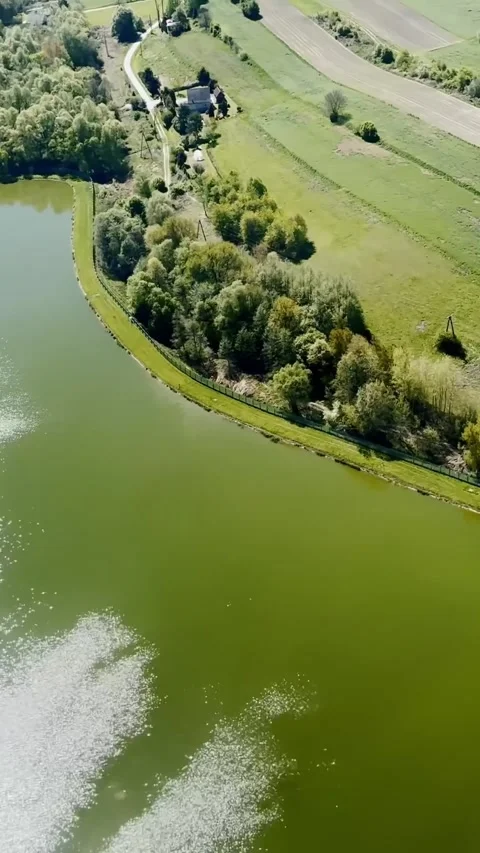 Vertical aerial view of a green lake shoreline with trees, rural road and Vidéo 336937802