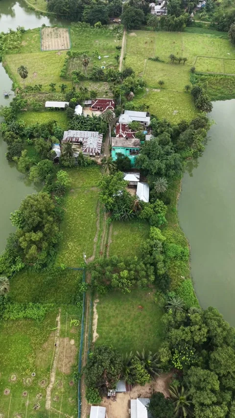 Vertical aerial view of a green peninsula surrounded by a calm river stream Stock Footage 341526273