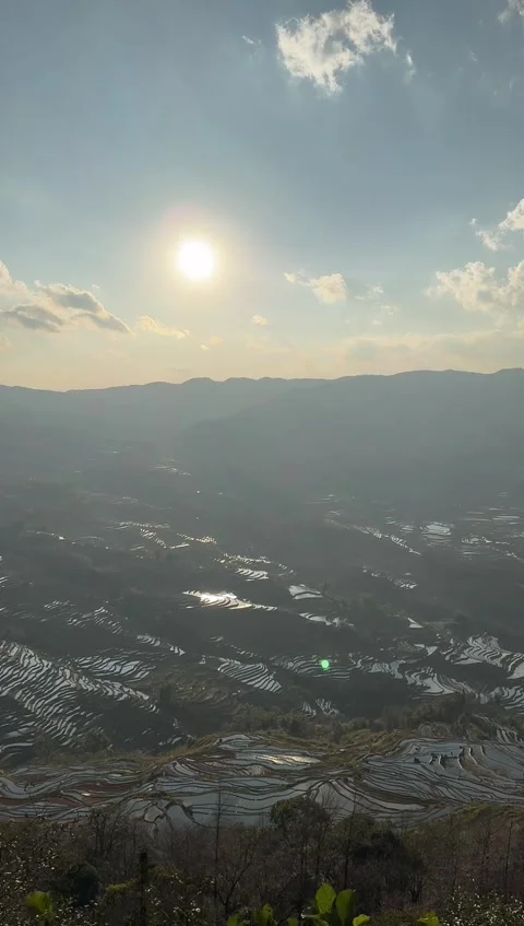 Vertical Aerial View of Hani Rice Terraces with Flowing Clouds at Sunset Stock Footage 330149130