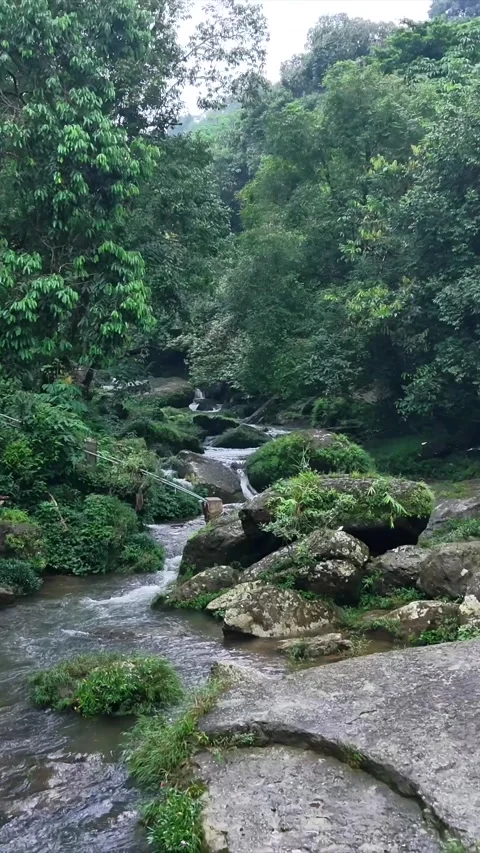 Vertical Aerial View of Krang Suri Falls and Lush Forest Landscape Meghalaya Stock Footage 346453009