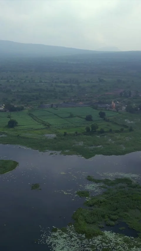 Vertical Aerial View of Lake and Rural Landscape in Madhya Pradesh Stock Footage 344734989