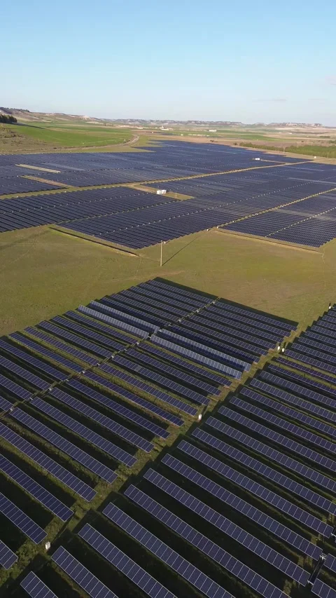 Vertical Aerial View of Large Solar Farm – Renewable Energy Infrastructure Stock Footage 331200694