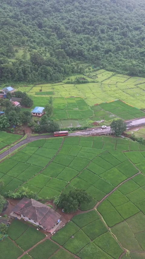Vertical Aerial View of Lush Green Hills and Winding Roads in Ratnagiri Stock Footage 345210209