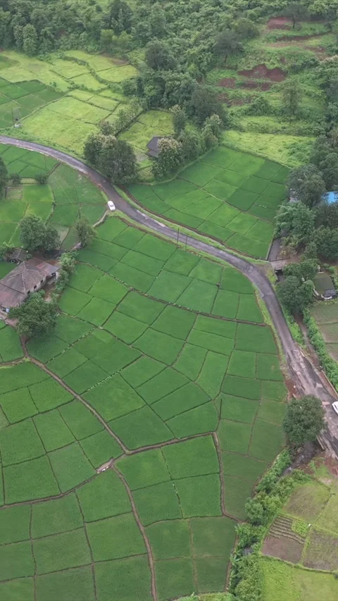 Vertical Aerial View of Lush Green Hills and Winding Roads in Ratnagiri Stock Footage 345210365