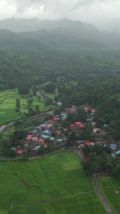 Vertical Aerial View of Lush Green Hills and Winding Roads in Ratnagiri Stock Footage 345210490