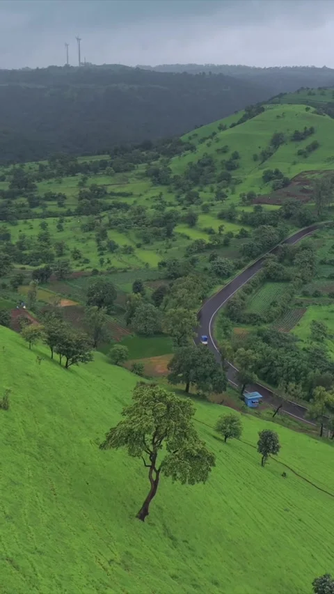 Vertical Aerial View of Lush Green Hills and Winding Roads in Ratnagiri Stock Footage 345211300