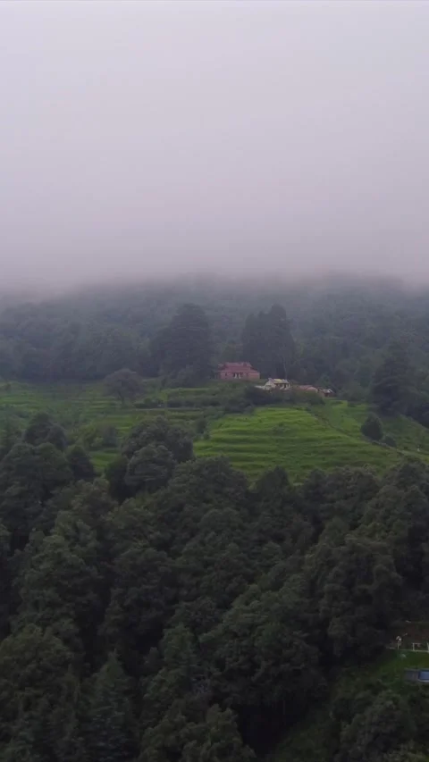 Vertical Aerial View of Lush Green Hills and Winding Mountain Roads in Almora Stock Footage 345485727
