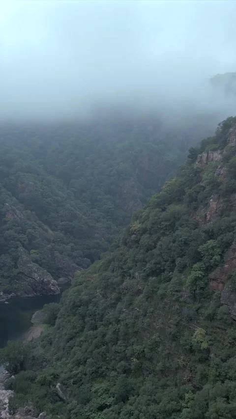 Vertical Aerial View of Lush Green Hills Forests and Water Bodies in Pratapgarh Stock Footage 345488906