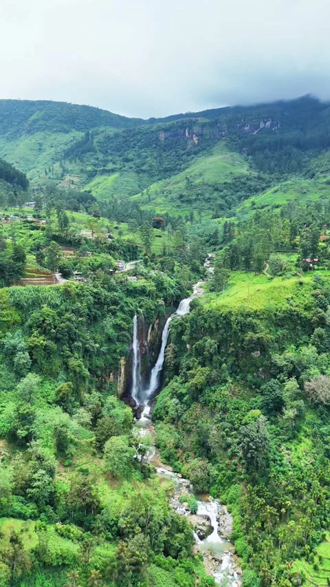 Vertical Aerial View of Lush Tea Plantations and Mountains in Ella, Sri Lanka Video stock 325940046