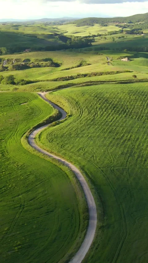 Vertical, aerial: view of meadow, path and countryside in Tuscany during the Stock Footage 338271253