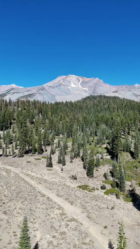 Vertical aerial view of mountain peak and pine forest under clear blue sky Video stock 321933688