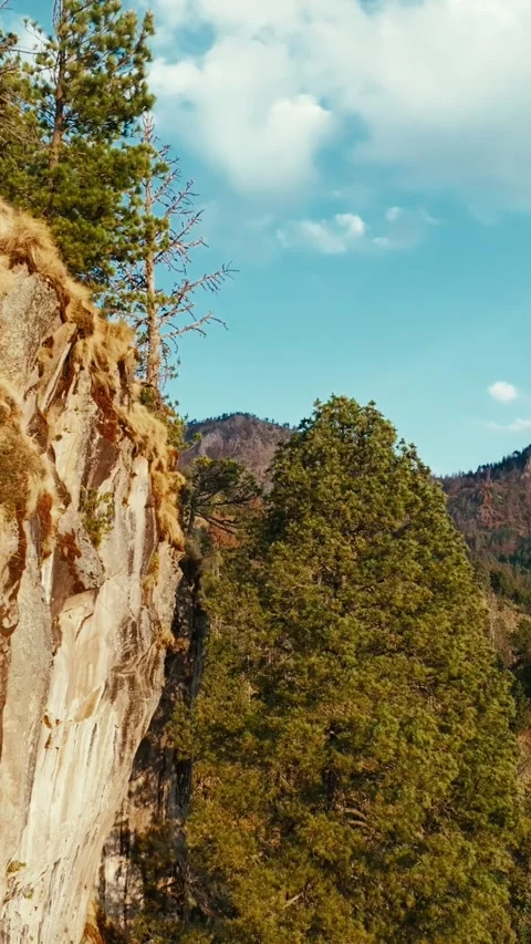 Vertical Aerial View of Nevado de Colima Pine Cliffs and Forest, Jalisco, Mexico Stock Footage 345559128