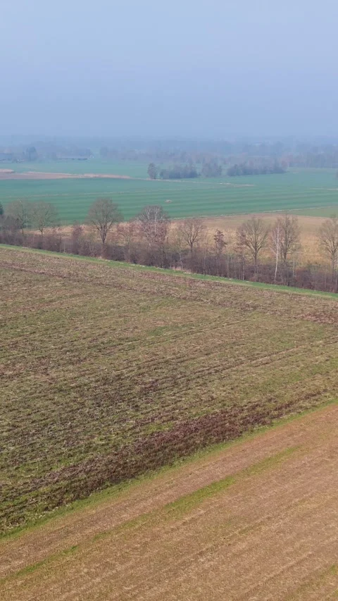 Vertical aerial view of patchwork agricultural fields in a misty rural landscape Vídeo Stock 332022187