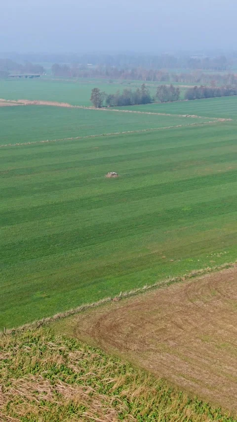 Vertical aerial view of patchwork agricultural fields in a misty rural land Stock Footage 334137095