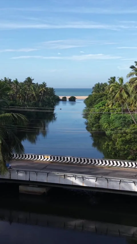 Vertical Aerial View of Poovar Beach and Backwater Confluence Kerala Stock Footage 346454429