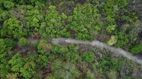 Vertical aerial view of powerful muddy river emerging from dense wild forest Stock Footage 344096932