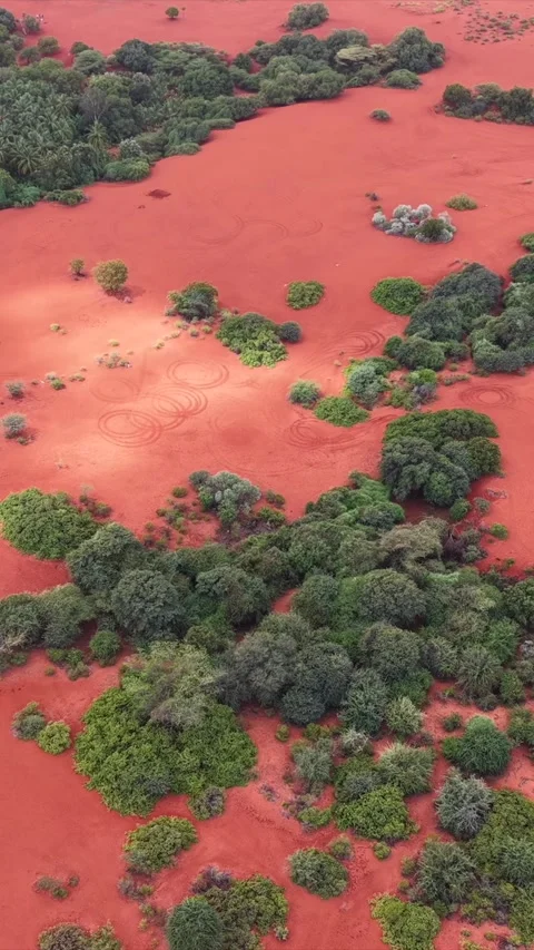 Vertical Aerial View of Red Desert Therikaadu Tamil Nadu India Stock Footage 334180639