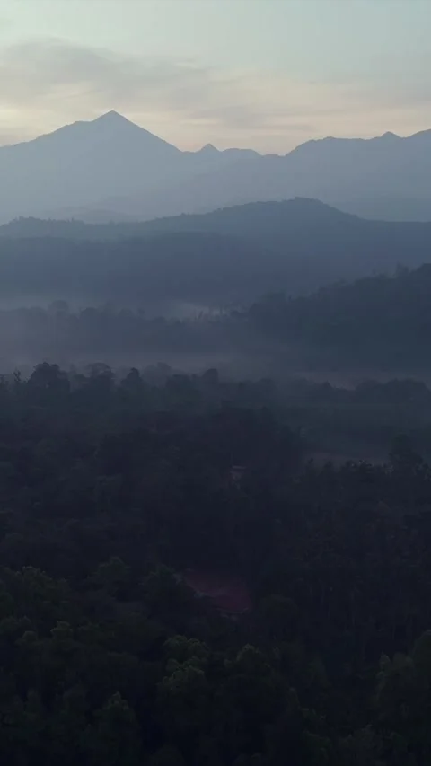 Vertical Aerial View of River and Forested Hills Near Pune Maharashtra Stock Footage 346755003