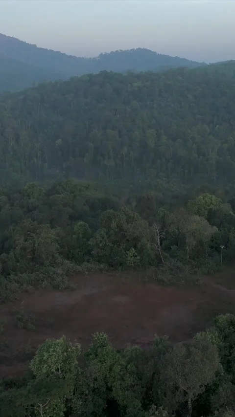 Vertical Aerial View of River and Forested Hills Near Pune Maharashtra Stock Footage 346755110