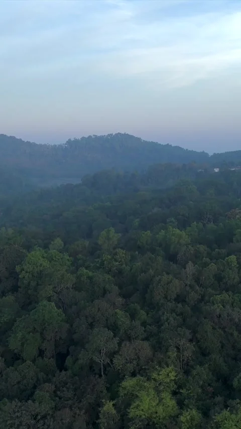 Vertical Aerial View of River and Forested Hills Near Pune Maharashtra Stock Footage 346755119