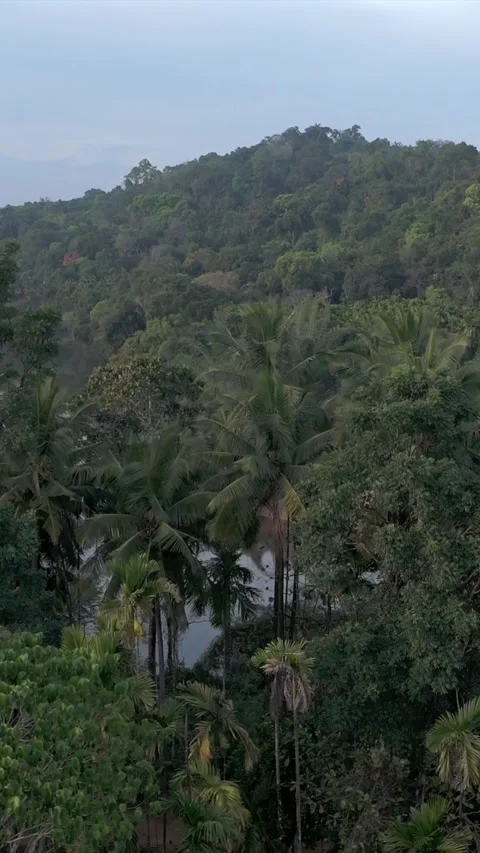 Vertical Aerial View of River and Forested Hills Near Pune Maharashtra Stock Footage 346755569
