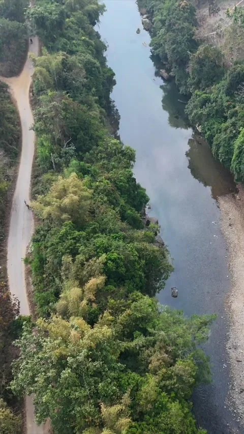 Vertical Aerial View of River Flowing Through Forest in Meghalaya India Stock-Footage 335015055