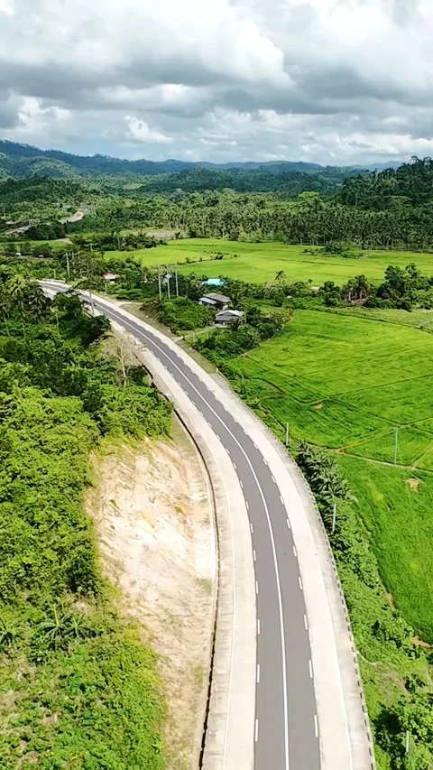 Vertical aerial view of road through lush tropical hills in Palawan, Philippines Stock Footage 319739077