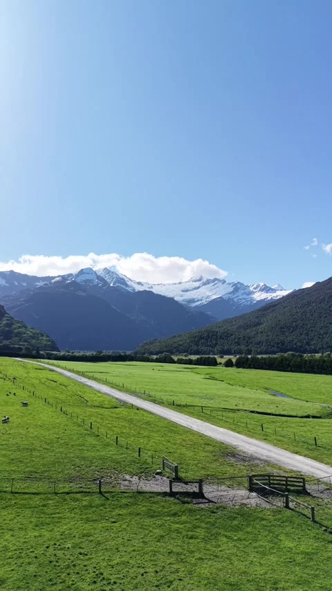 Vertical Aerial View of Rob Roy Glacier Valley New Zealand 動画素材 336379707