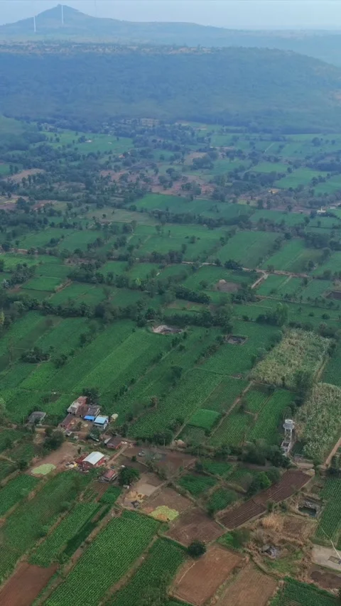 Vertical Aerial View of Rural Highway Through Maharashtra Video stock 341399596