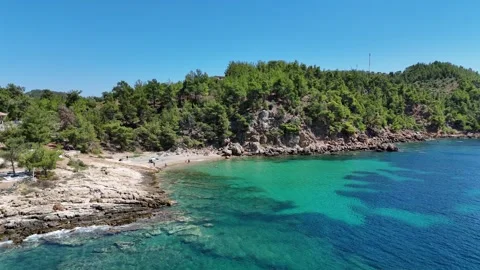 Vertical aerial view of a small sandy beach and lush pine trees. Stock Footage 327674716