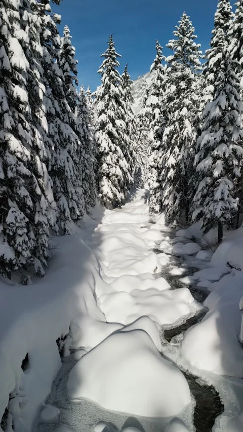 Vertical Aerial View of Snowy Forest and Frozen Stream in Winter Stockbeeldmateriaal 348337331