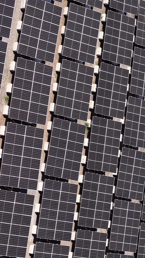Vertical Aerial View of Solar Power Plant, Array of Photovoltaic Modules, Birds Stock Footage 337977590