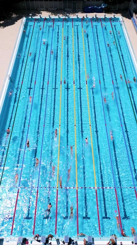 Vertical Aerial View of Swimmers Training in Large Outdoor Pool 库存影片 340549325