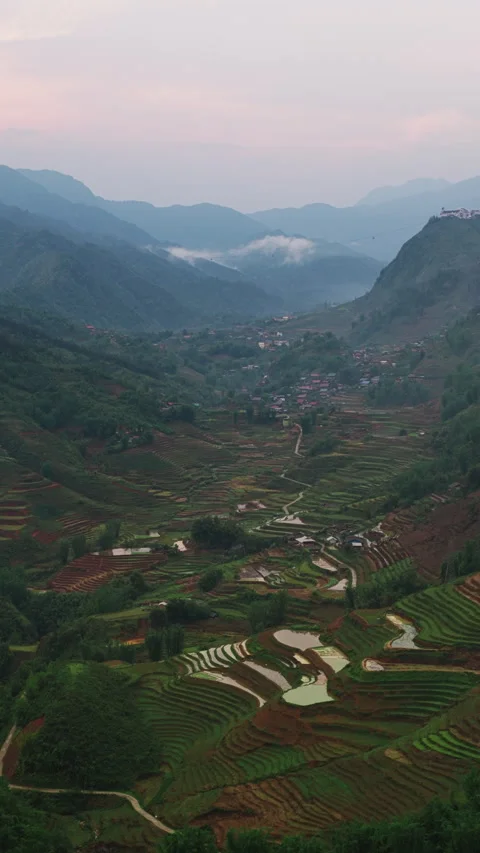 Vertical Aerial View of Terraced Rice Fields in Valley Mountains of Sa Pa Stock Footage 341463876
