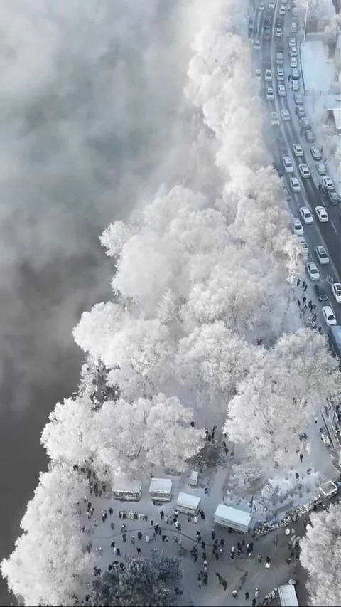 Vertical Aerial View of Vast Pristine Snow Mountain Wilderness Stock Footage 327998468