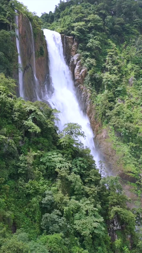 Vertical Aerial View of Waterfall in Western Ghats Forest Karnataka India 库存影片 334181106