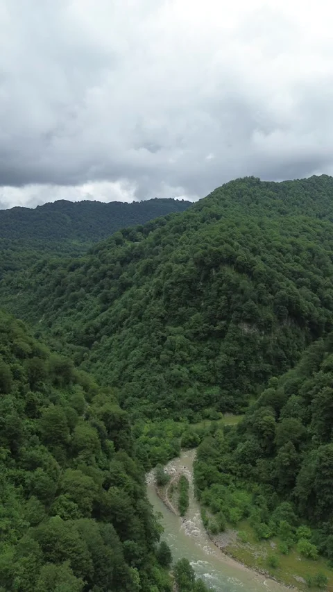 Vertical Aerial View of Winding River in Forested Gorge, Georgia Video stock 341834942