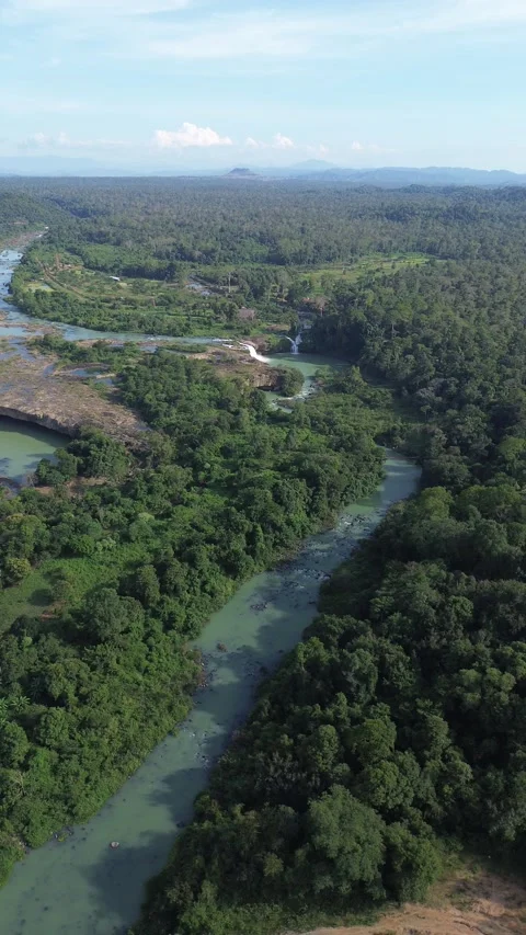 Vertical Aerial View of Winding River and Waterfall in Lush Jungle 스톡 동영상 344088941