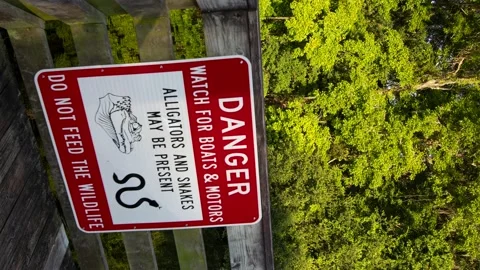 Vertical alligator warning Stock Footage 198564272