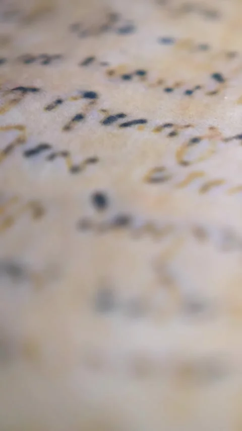 Vertical. Ancient parchment, bound by time. Aged scrolls and candles. Stock Footage 305160455
