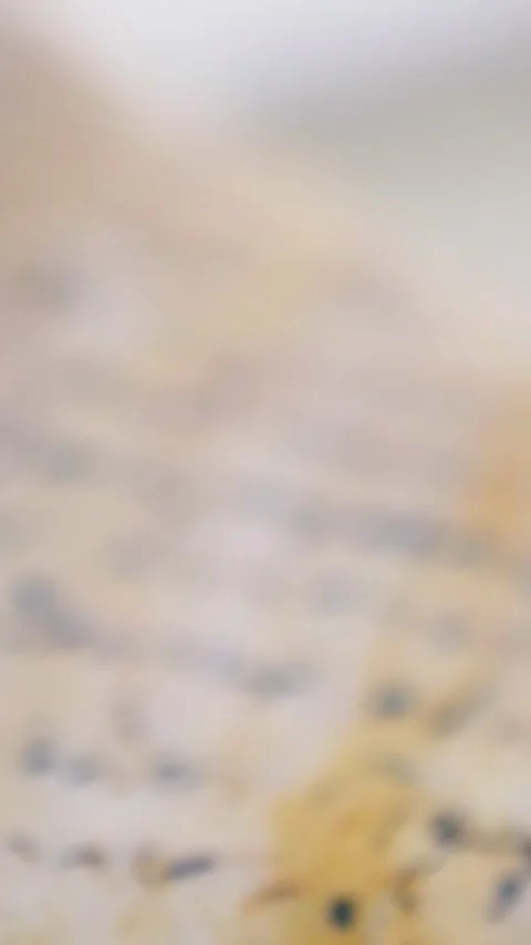 Vertical. Ancient parchment, bound by time. Aged scrolls and candles. Stock Footage 305160570