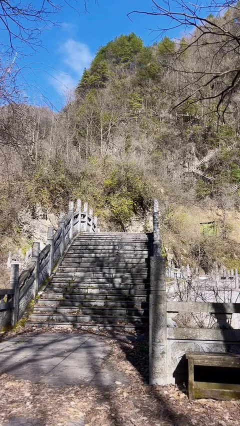 Vertical Ancient Style Stone Bridge Stairs In Green Forest Mountain Видео 334013101