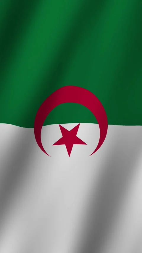 Vertical Animated Flag of Algeria 4k video Stock Footage 295994347