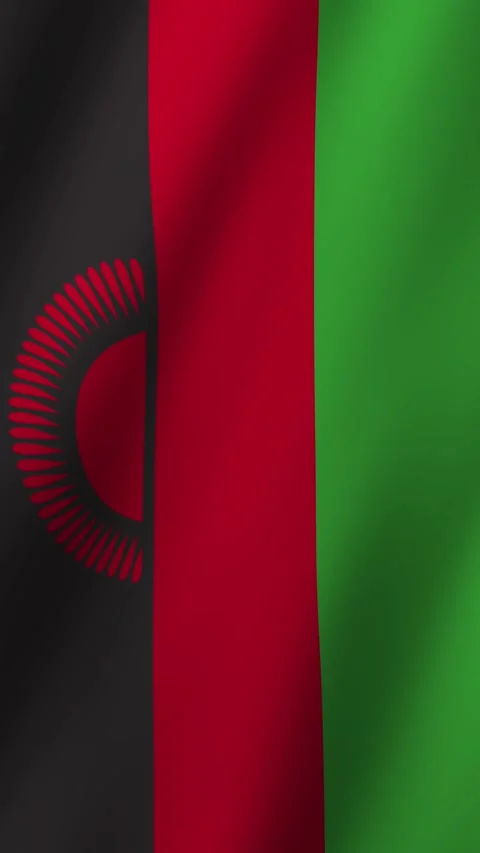 Vertical Animated Flag of Malawi 4k video Stock Footage 296126943