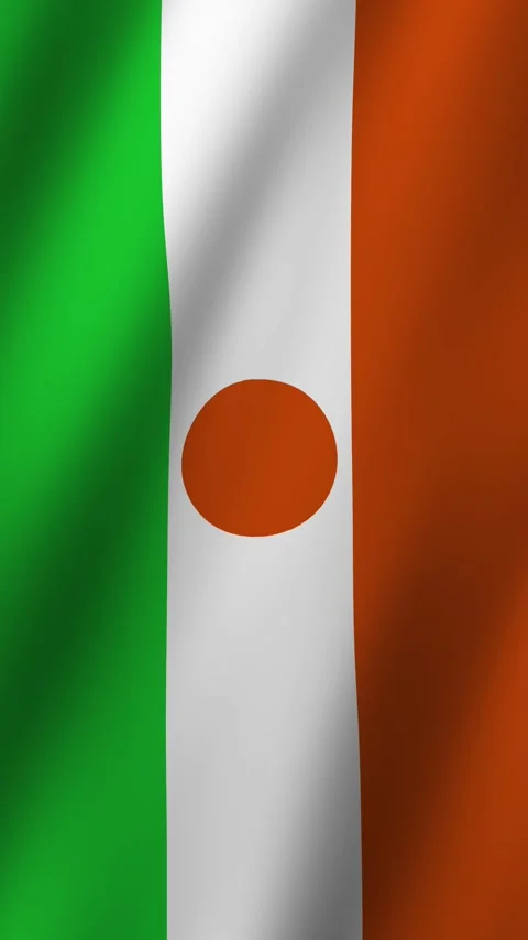 Vertical Animated Flag of Niger 4k video Stock Footage 296177102