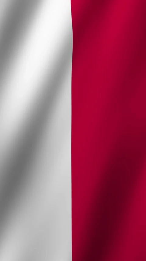 Vertical Animated Flag of Poland 4k video Stock Footage 296126965