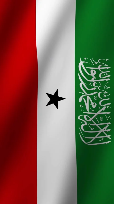 Vertical Animated Flag of Somaliland 4k video Stock-Footage 296337557