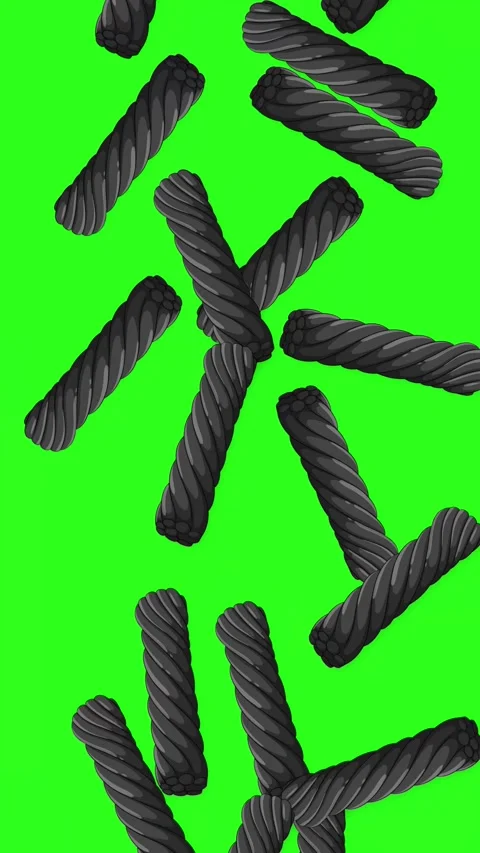 Vertical Animation of Black Licorice Candy Falling on Green Screen Stock Footage 345037758
