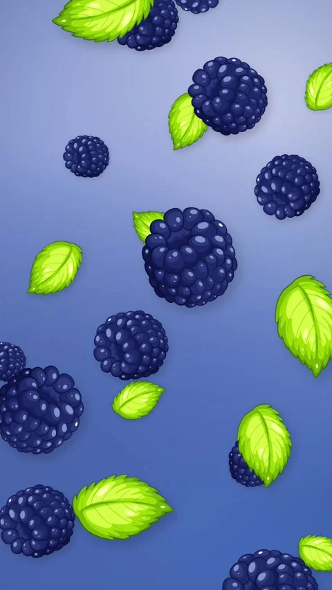 Vertical Animation of Blackberries and Mint Leaves Falling on Blue Background Stock Footage 344832231